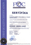 Ohsas 18001 2007
